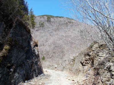 f0308898_20564787.jpg