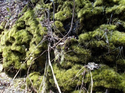 f0308898_20573768.jpg