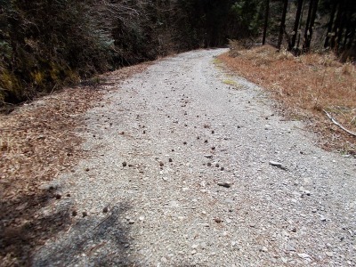 f0308898_20590732.jpg