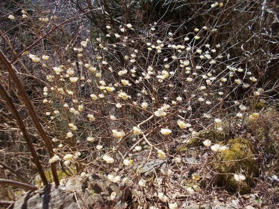 f0308898_20590807.jpg