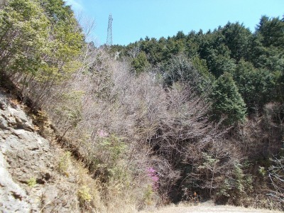 f0308898_20590851.jpg