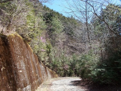 f0308898_21000598.jpg