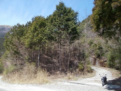 f0308898_21000632.jpg