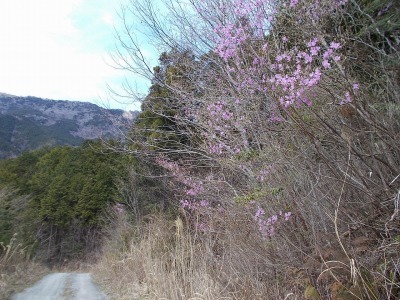 f0308898_21000647.jpg