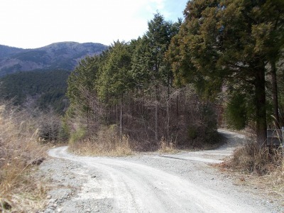 f0308898_21000666.jpg