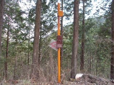 f0308898_21000775.jpg