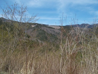 f0308898_21004537.jpg