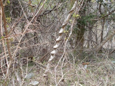 f0308898_21004601.jpg