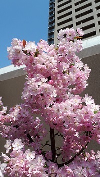 b0366199_21414627.jpg