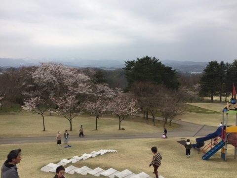 c0201302_16522771.jpg