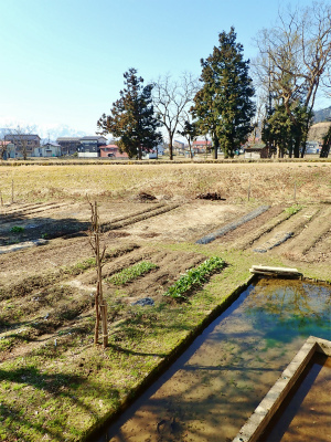 週末は家庭菜園で準備を始めました_c0336902_20581569.jpg