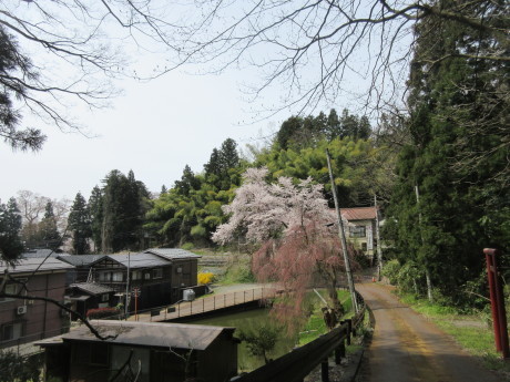 a0203003_17410119.jpg