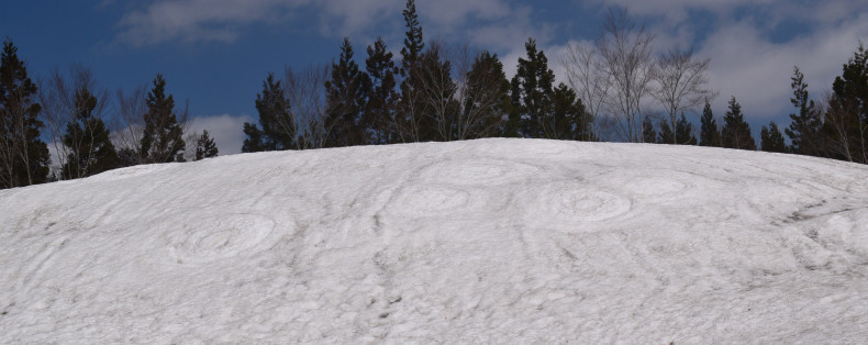 c0336907_20233927.jpg