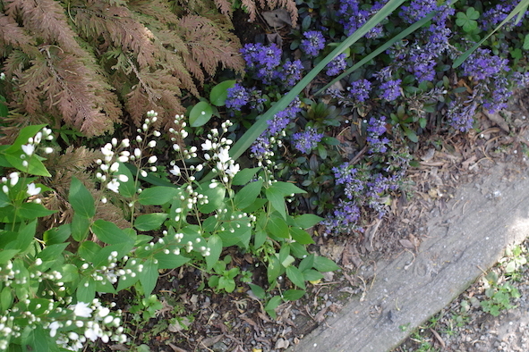 e0271409_20241073.jpg
