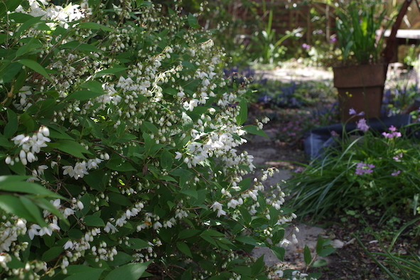 e0271409_20242805.jpg