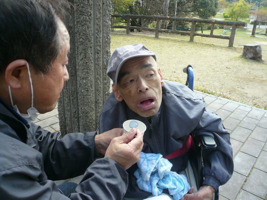 4/12　天啓公園_a0154110_08493103.jpg