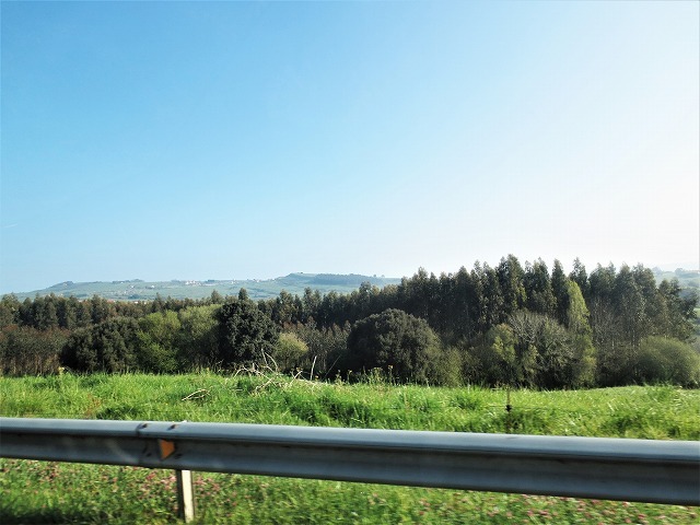 b0064411_02531337.jpg