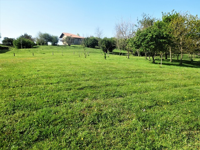 b0064411_03555348.jpg