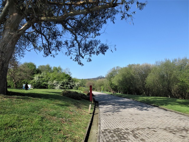 b0064411_03555374.jpg