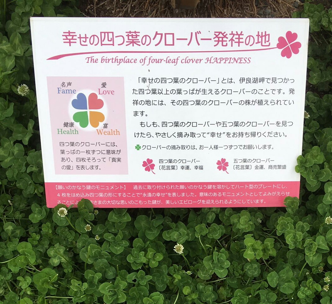 幸せの四つ葉のクローバー発祥の地 風の吹くまま 気の向くまま 幸せの四つ葉のクローバー発祥の地 風の吹くまま 気の向くまま