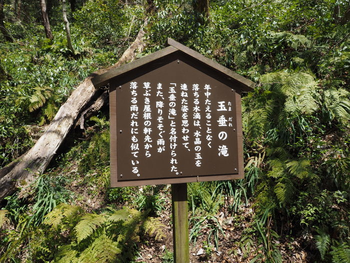 c0116915_00442816.jpg