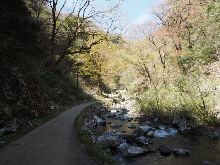 c0116915_00452808.jpg