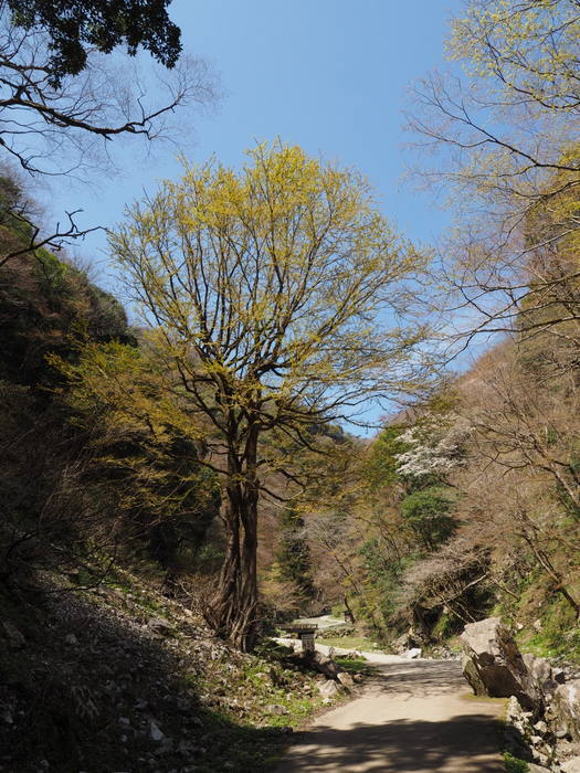 c0116915_00454313.jpg