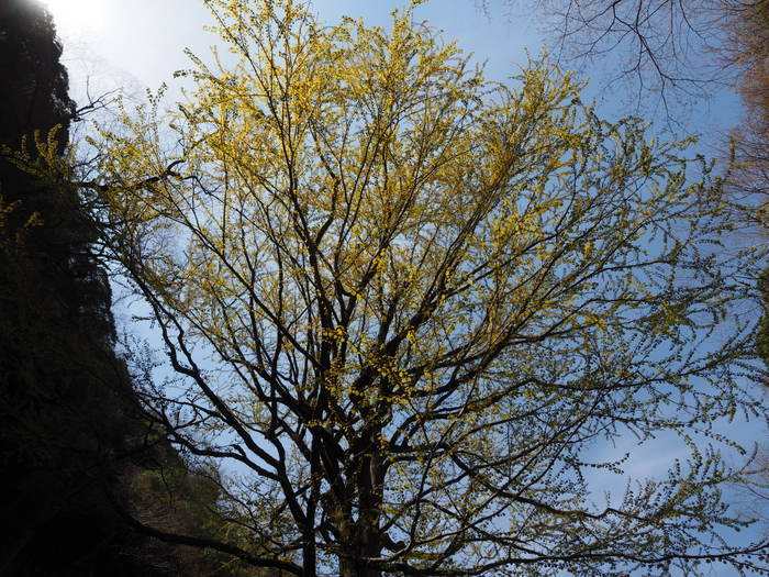 c0116915_00490139.jpg