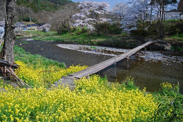 e0349817_22361849.jpg