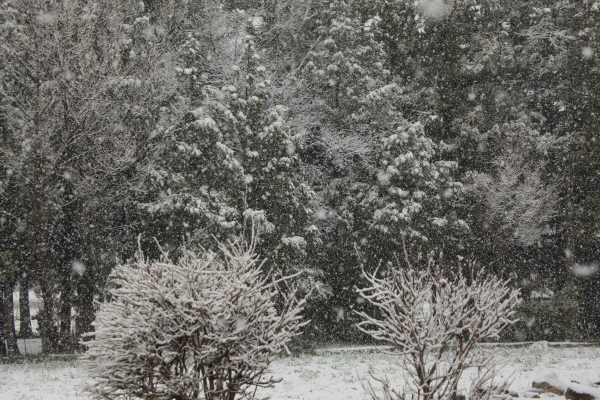 e0242721_08101943.jpg