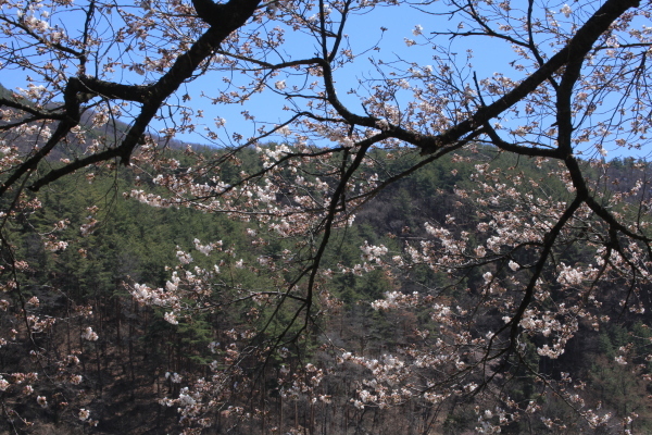 e0242721_08122249.jpg