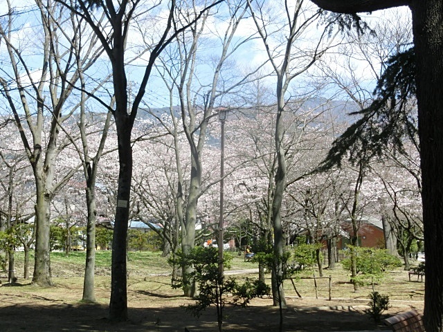 e0234924_18424618.jpg
