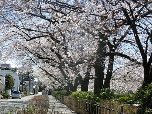 e0234924_18490491.jpg