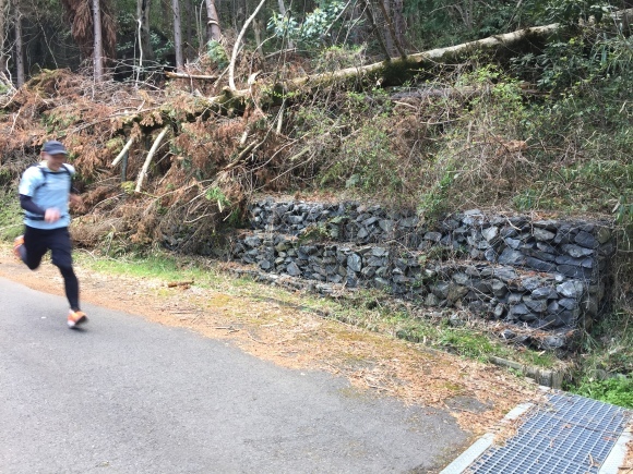 d0086225_21501968.jpeg