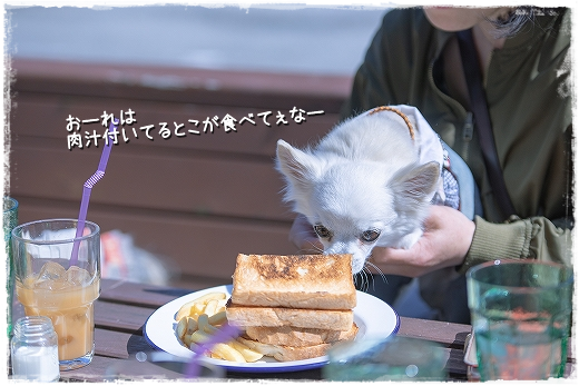 d0179828_09455467.png