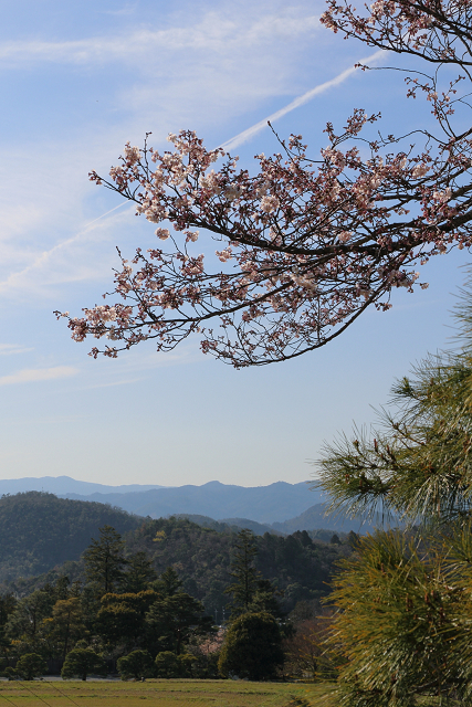 桜の京都2019 －修学院離宮（前編）－ _b0169330_23481759.jpg