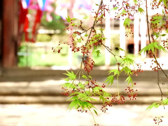 a0354432_19345528.jpg