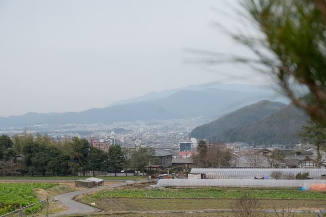 修学院離宮、ふたたび_e0369736_09342432.jpg