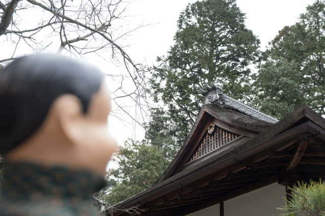 修学院離宮、ふたたび_e0369736_18034386.jpg
