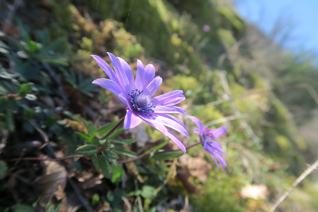 春のテッツィオ山と記念写真_f0234936_6202240.jpg