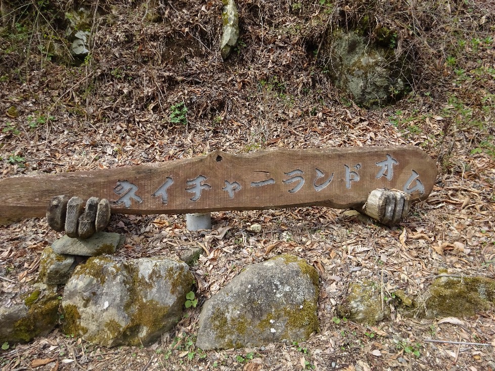 d0378837_06414890.jpg