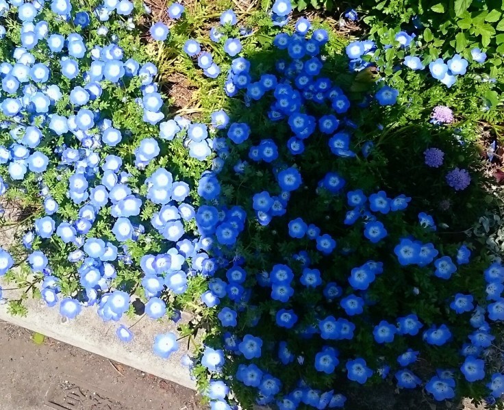 f0042637_23274815.jpg