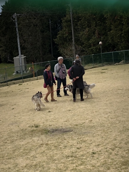 b0369239_11542701.jpeg