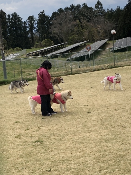 b0369239_11543600.jpeg