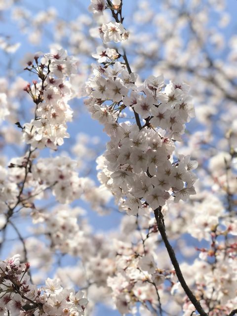 近況その2_a0274443_17405878.jpeg
