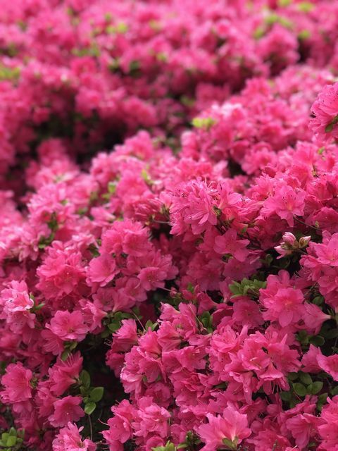 近況その2_a0274443_17411578.jpeg
