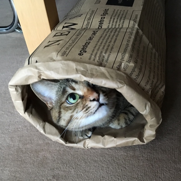 f0372445_10274779.jpeg