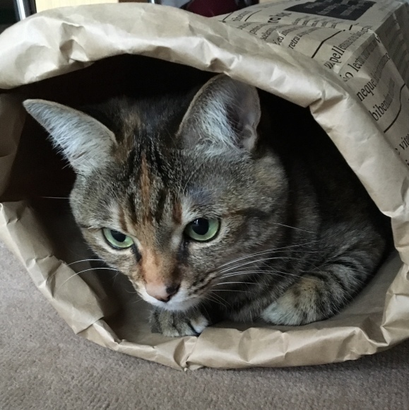 f0372445_10281154.jpeg