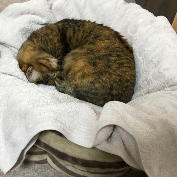 f0372445_10290612.jpeg