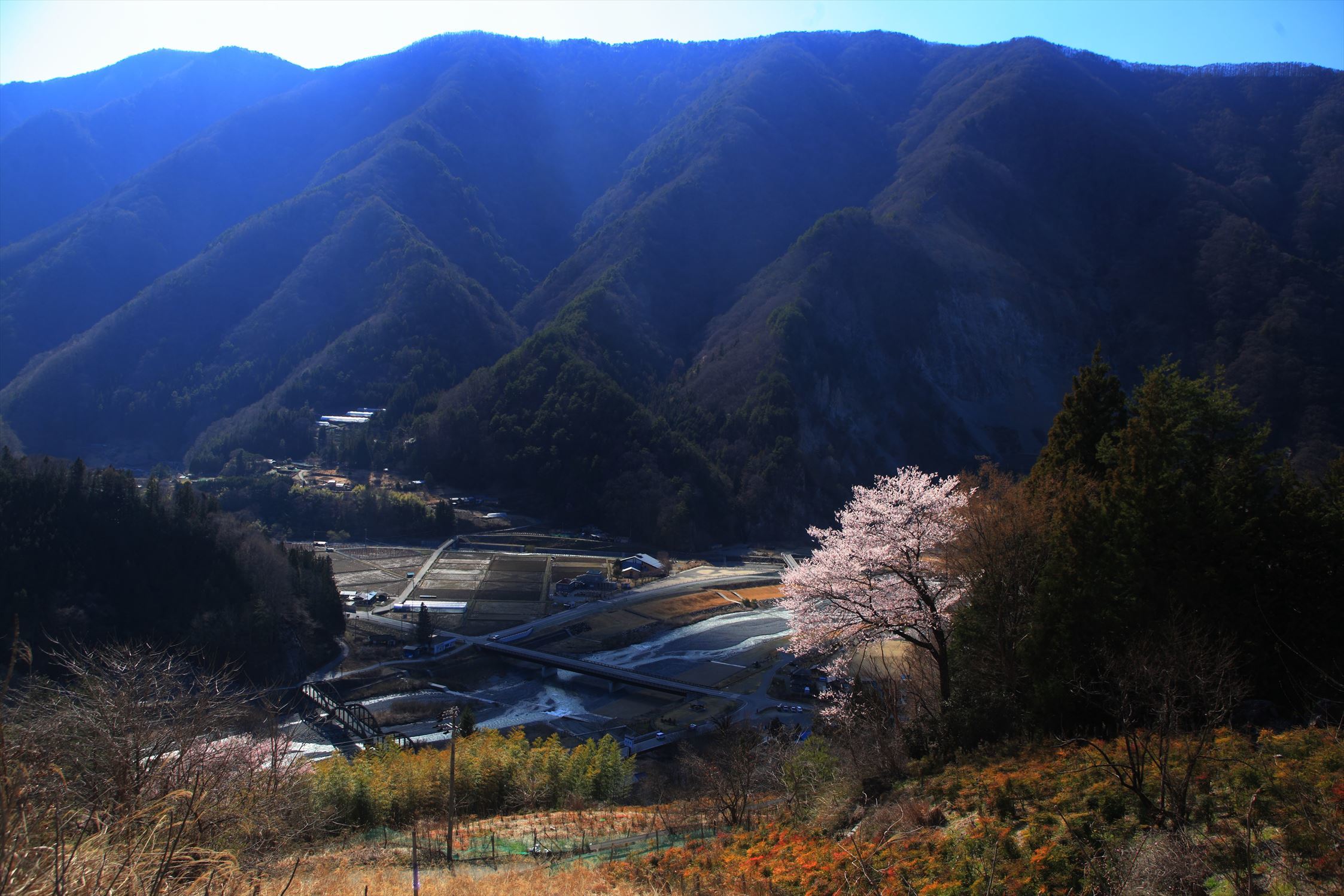 d0177549_17463815.jpg
